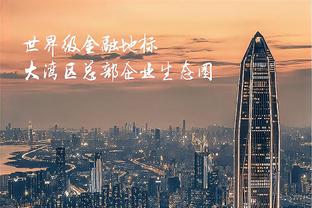 辽宁沈阳城市征集新LOGO，要求突出虎元素并对标国际知名俱乐部
